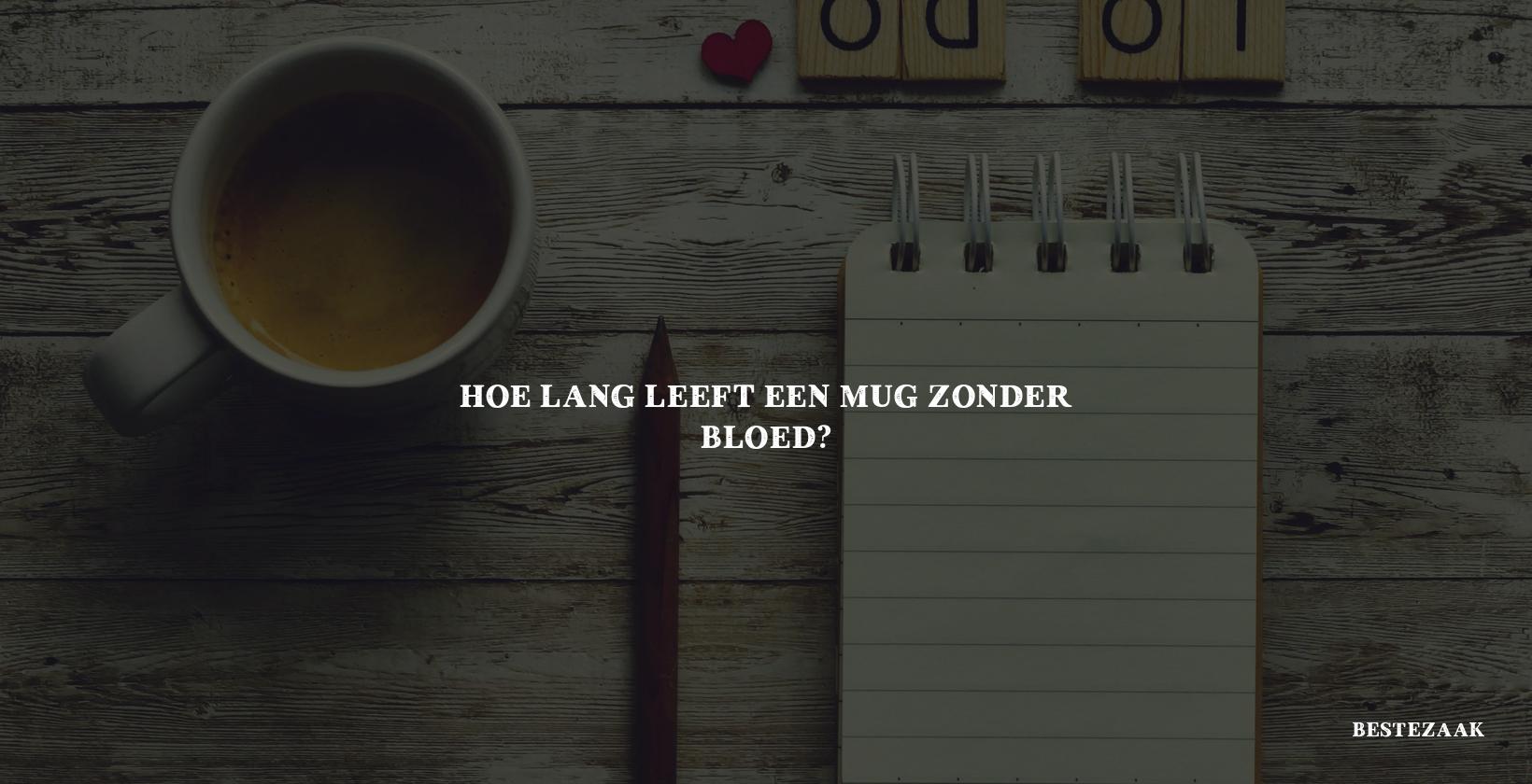 Hoe lang leeft een mug zonder bloed?