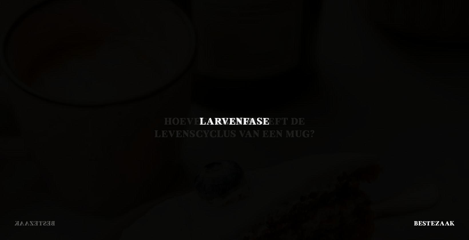 Larvenfase