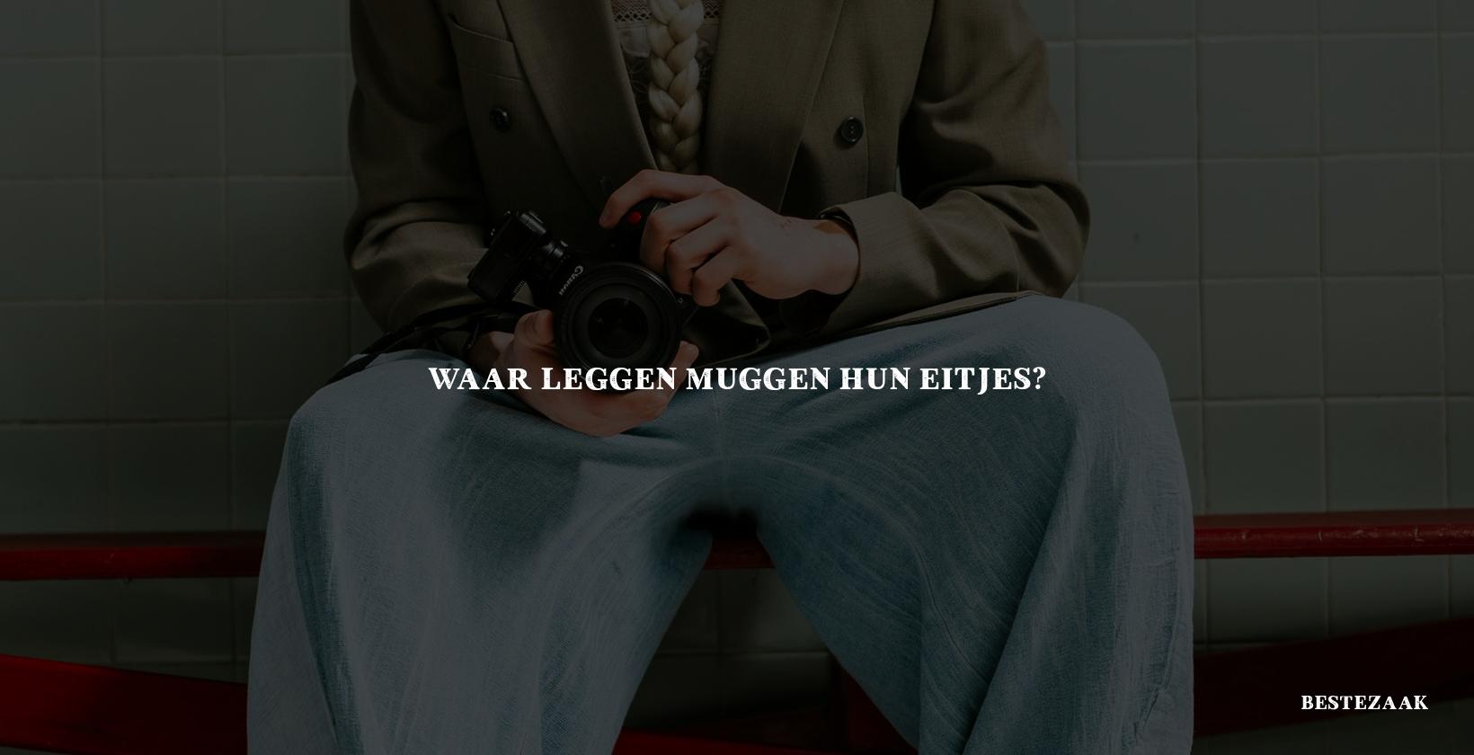 Waar leggen muggen hun eitjes?